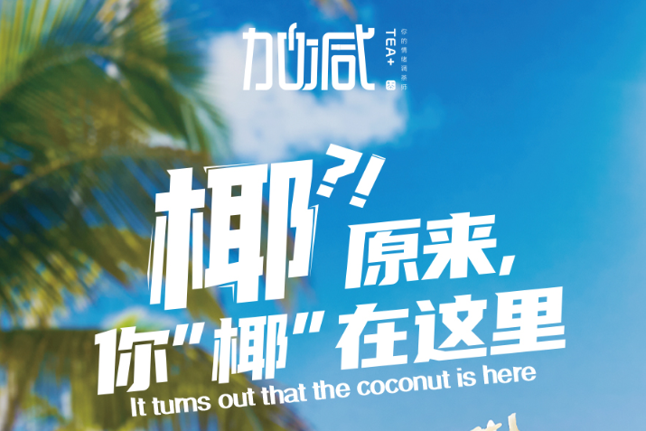 永乐国际·F66椰子系列新品火爆上市